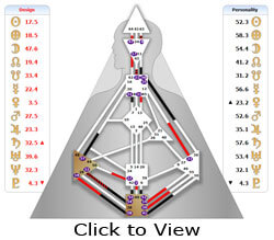 Darshana Mathews's Rave Chart