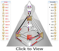 Lasita Shalev's Rave Chart